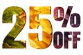 25% off discount promotion sale poster, ads. Autumn sale banner with green, yellow and red leaves on white background.