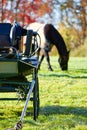 Off Duty Cart Horse Royalty Free Stock Photo