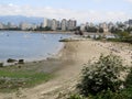 Off-Leash dog friendly beach at Kitsilano English Bay in Vancouver Royalty Free Stock Photo