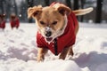Off leash joy Transformed park, puppys snowy playtime in red coat Royalty Free Stock Photo