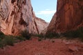 An off road adventure in a narrow abandoned canyon in Capitol Reef National Park