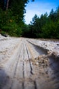 Wheel tread print on a sandy road in the forest. Cover the trail of dirty tires on the floor. Off-road background Royalty Free Stock Photo