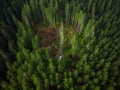 Off road car adventure on forest road, drone view Royalty Free Stock Photo