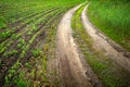 Off-road. Dirty wet dirt road in a corn field. Tire tracks. Rut on a muddy road. Wheel tracks on the clay