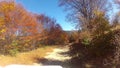 Off-road driving through a macedonian forrest