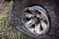 Offroad flat tyre and rim in mud close up Royalty Free Stock Photo