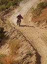 Off Road Motorcycle Racer Royalty Free Stock Photo