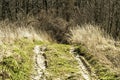 Off-road. Polesie. Country Ukraine. Impassable forest road of mud and clay, offroad