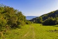 The off-road road at the edge of a forest and mountain landscape on the background Royalty Free Stock Photo