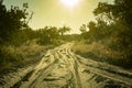 Off road sand track in Chobe national park during sunset