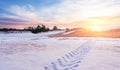 Off-road tire tread marks on snow Royalty Free Stock Photo