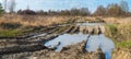 Off-road track. Tire imprints. Puddle detail. Military area. Impassable way