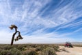 Off Road Vehicle and Joshua Tree Royalty Free Stock Photo