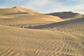 Off road vehicle tracks in sand at Imperial Sand Dunes, California, USA Royalty Free Stock Photo