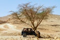Off-road vehicle under a tree in the desert Royalty Free Stock Photo