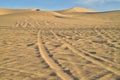 Off road vehicle tracks in sand at Imperial Sand Dunes, California, USA Royalty Free Stock Photo