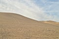 Off road vehicle tracks in sand at Imperial Sand Dunes, California, USA Royalty Free Stock Photo