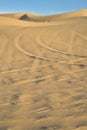 Off road vehicle tracks in sand at Imperial Sand Dunes, California, USA Royalty Free Stock Photo