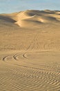 Off road vehicle tracks in sand at Imperial Sand Dunes, California, USA Royalty Free Stock Photo