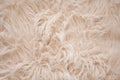 Off-white or cream-colored furry background