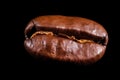 ?offee bean on black Royalty Free Stock Photo