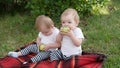 The offended child refuses to eat with his sister