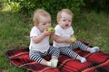 The offended child refuses to eat with his sister in park