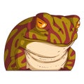 An Offended Frog, isolated vector illustration. Cartoon picture of a serious frowning toad sitting. Drawn animal sticker