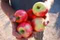 Offering of fresh apples