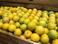 Offering Orange Mandarin Fruit on The Wooden Box For Sale