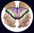 Offering release via beautiful butterfly