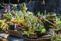 Offering to Hindu Gods in Bali island which called Canang and made from leaves and flowers Royalty Free Stock Photo