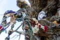 Offerings on an ancient pagan oak tree in the English countryside. Malvern Hills, UK Royalty Free Stock Photo