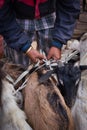 Offerings of livestock for Dashain, Durbar Square, Kathmandu, Ne Royalty Free Stock Photo