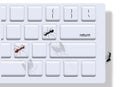 Office ants invade a computer keyboard