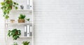 Office bookcase with plants and folders over wall Royalty Free Stock Photo