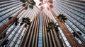 An Office Building Reflects Itself and Palms Royalty Free Stock Photo