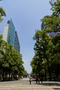 Office buildings at Mexico city