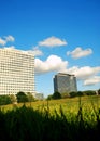 Office buildings and open field Royalty Free Stock Photo