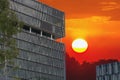 Office buildings and sunset Royalty Free Stock Photo