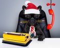 Dog office worker on christmas holidays Royalty Free Stock Photo