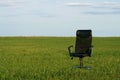 Office chair on a green grass Royalty Free Stock Photo