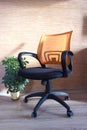 Office Chair with Orange Mesh Back and Black Seat. A chair on wheels in a room with sun shadows. A green flower in a pot on the fl