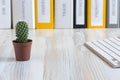 Office composition with cactus Royalty Free Stock Photo