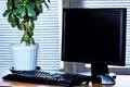 Office Desk - computer monitor, keyboard, mouse, money tree, window blinds. Necessary accessories Manager - keyboard for typing, Royalty Free Stock Photo