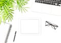Office desk flat lay Laptop tablet notebook glasses green plant