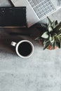 The office desk flat lay view with laptop, mouse, tree, paper clip, coffee cup, notebook, pencil Royalty Free Stock Photo