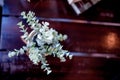 desks and decorative flowers  desks and decorative flowers Royalty Free Stock Photo
