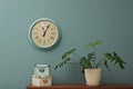 Office interior with houseplant and clock on wall Royalty Free Stock Photo