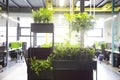 Office interior with loft windows, yellow pipes and green workplaces